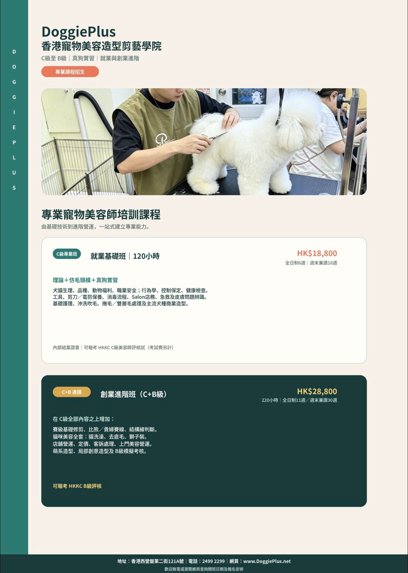 專業寵物美容課程